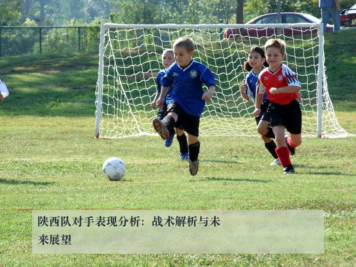陕西队对手表现分析:战术解析与未来展望